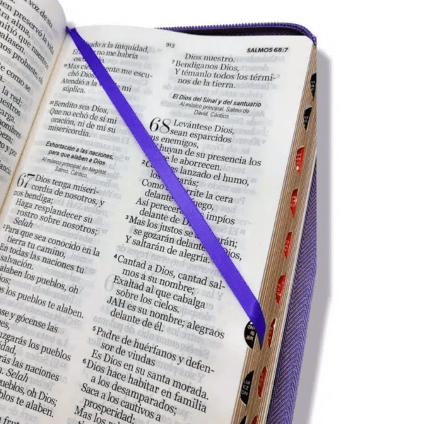 Biblia Reina Valera 1960 · 13,8x21,2 cm · Letra gigante 14 pt · Con cierre e índice · Diseño flores lila