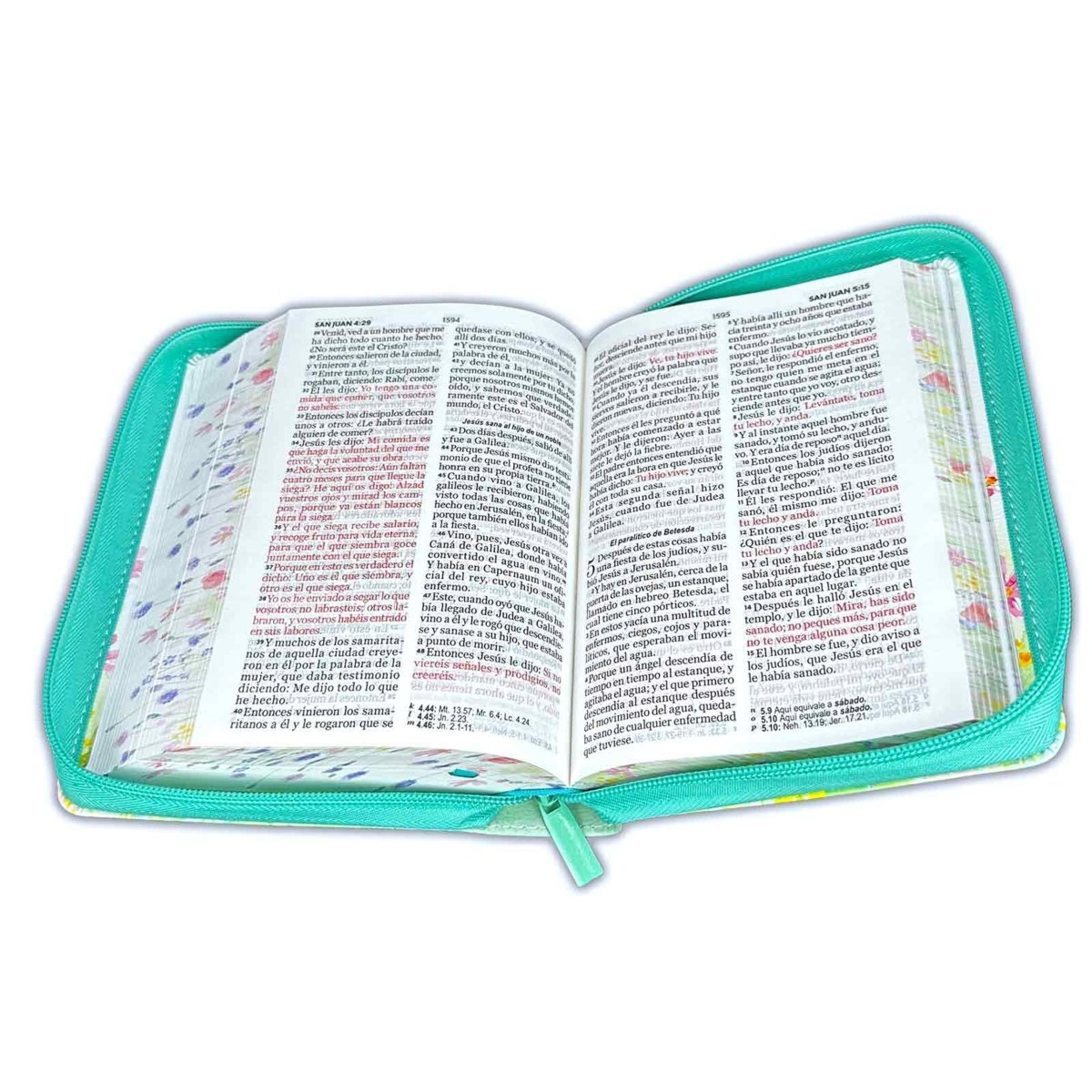 Biblia Reina Valera 1960 · 11x16,5 cm · Letra grande 11 pt · Con cierre · Colección Primaveral turquesa