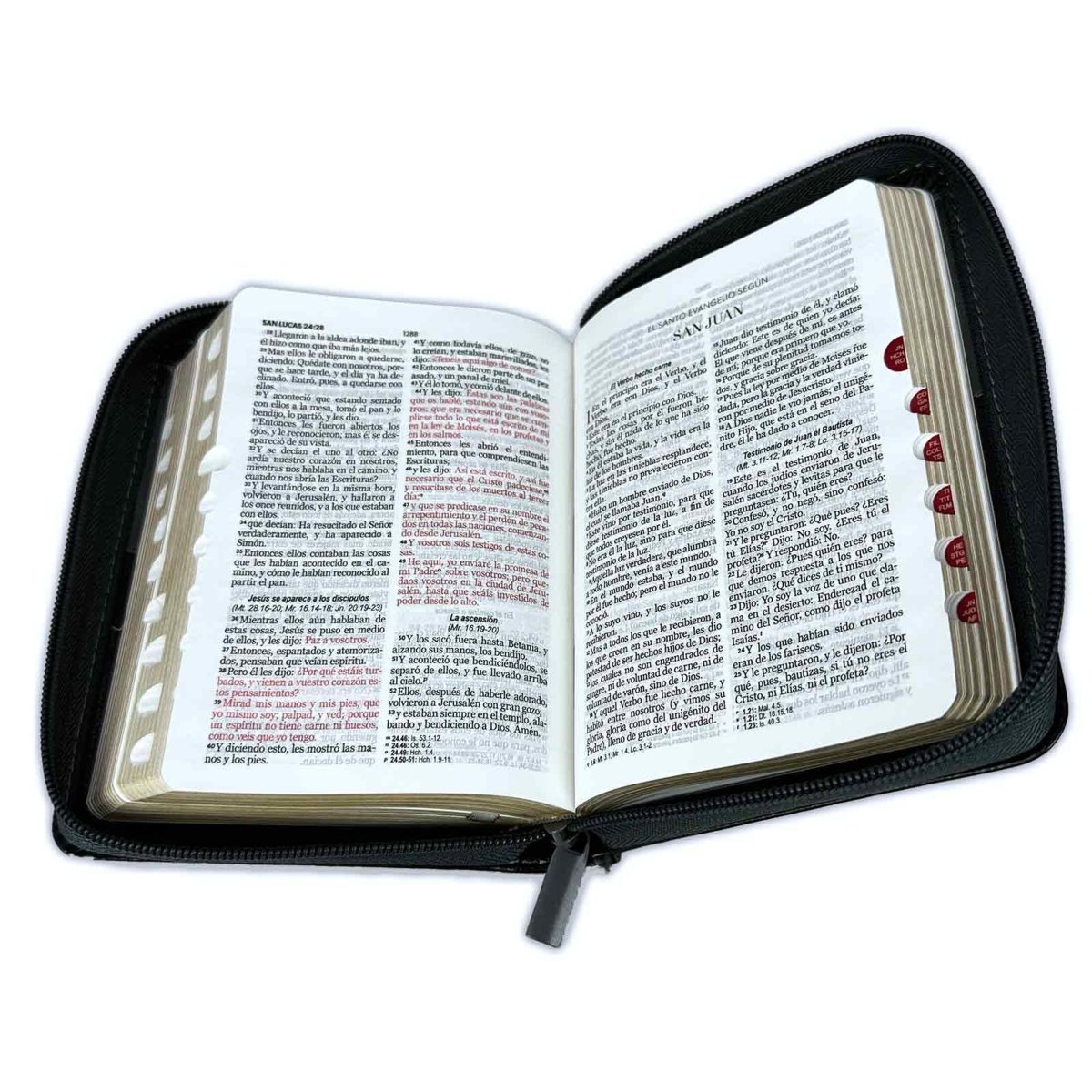 Biblia Reina Valera 1960 · 10x14 cm · Letra pequeña 8,5 pt · Con cierre e índice · Tapa imitación piel · Colección Expresión león negro y gris