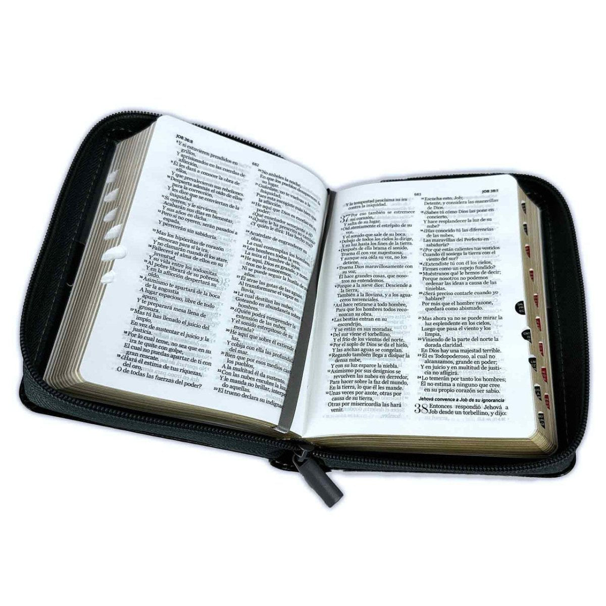 Biblia Reina Valera 1960 · 10x14 cm · Letra pequeña 8,5 pt · Con cierre e índice · Tapa imitación piel · Colección Expresión león negro y gris