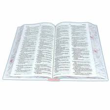 Biblia Reina Valera 1960 063 Letra Grande Concordancia pjr Tapa Dura Con Elastico