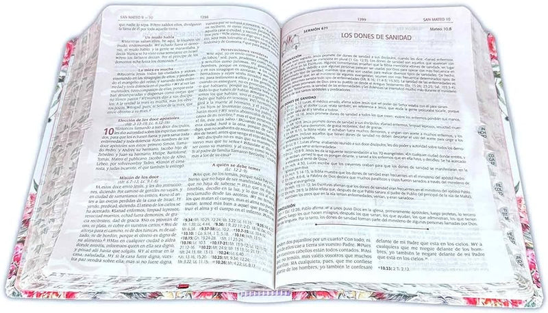 Biblia Reina Valera 1960 063 Letra Grande Concordancia pjr Tapa Dura Con Elastico