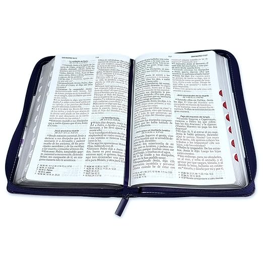 Biblia Reina Valera 1960 · 13,8x21,2 cm · Letra grande 12,5 pt · Con cierre e índice · Diseño tricolor lila con flores