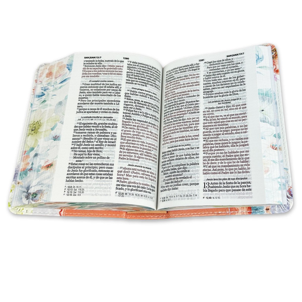 Biblia Reina Valera 1960 · 10x14 cm · Letra pequeña 8,5 pt · Tapa imitación piel · Colección Renovación coral