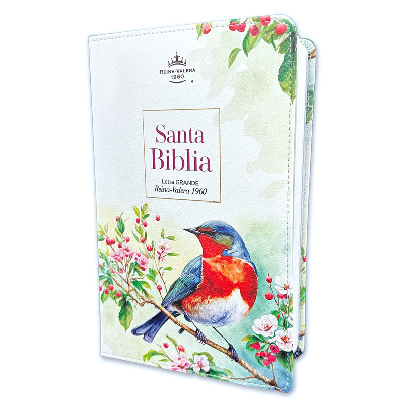 Biblia Reina Valera 1960 065C Letra Grande pjr Pajaro