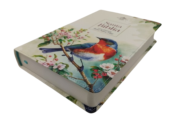 Biblia Reina Valera 1960 065C Letra Grande pjr Pajaro