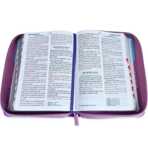 Biblia Reina Valera 1960 045 Concordancia Cierre Indice pjr Tricolor Azul - Rosa - Lila