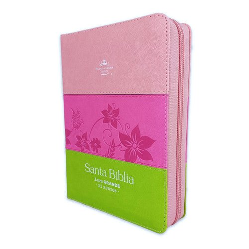 RVR60 045czti LG PJR  Tricolor Rosa/fucsia/lima