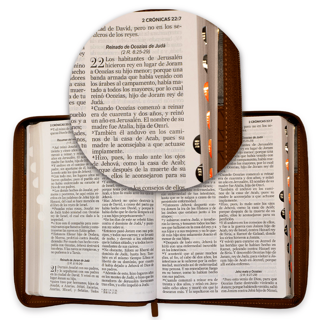Biblia Reina Valera 1960 – 085 – Con Concordancia – Letra 15 pts – 17x25 cm – Cierre con Índice – Marrón/Café