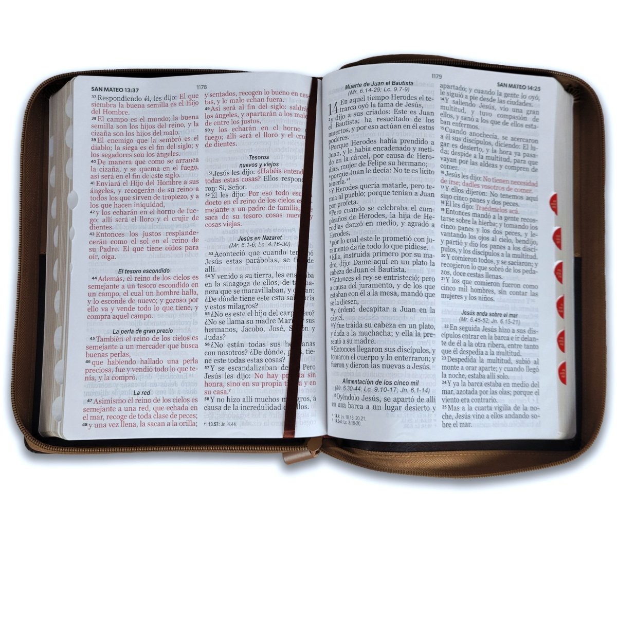 Biblia Reina Valera 1960 · 17x23,5 cm · Letra gigante 15 pt · Con cierre e índice · Diseño Ichtus café