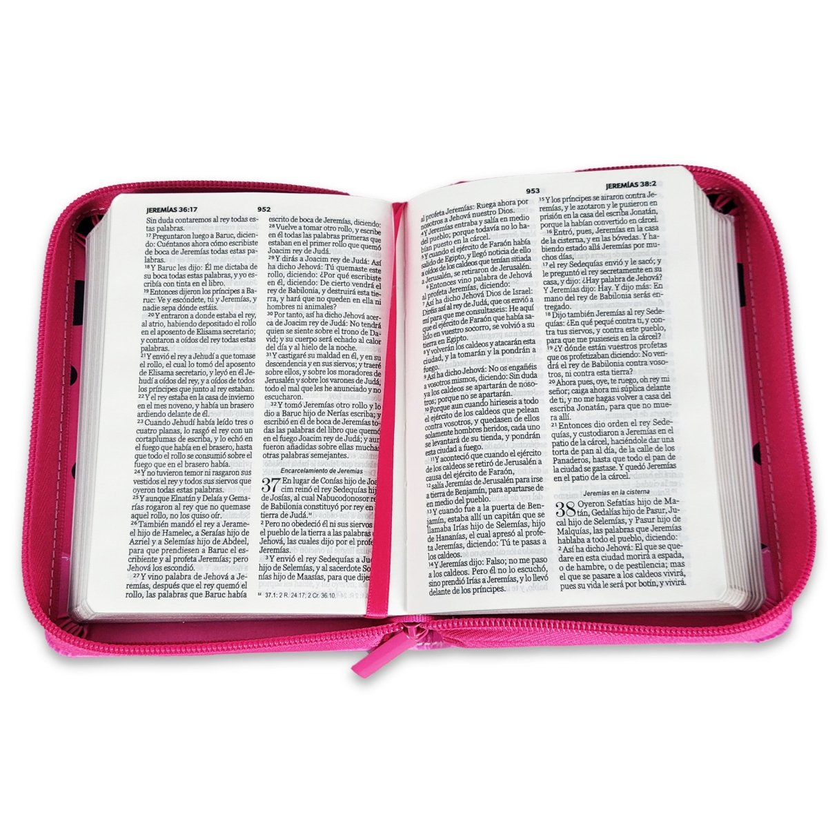 Biblia Reina Valera 1960 · 10x14 cm · Letra pequeña 8,5 pt · Con cierre · Tapa imitación piel · Colección Primor mariquita rosa y fucsia con topos