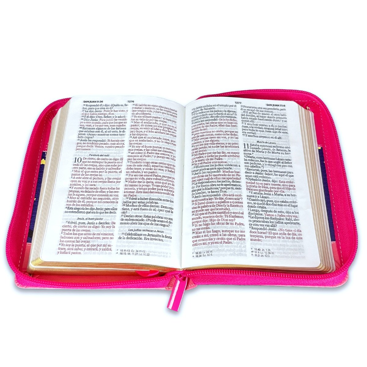 Biblia Reina Valera 1960 · 10x14 cm · Letra pequeña 8,5 pt · Con cierre · Tapa imitación piel · Colección Primor mariquita rosa con topos negros