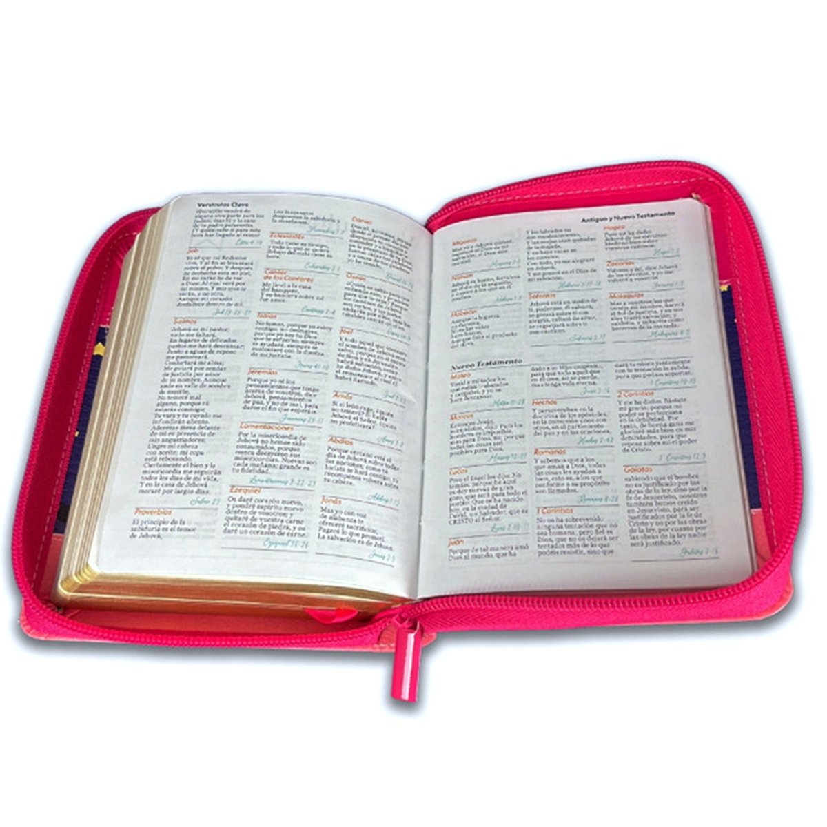 Biblia Reina Valera 1960 · 10x14 cm · Letra pequeña 8,5 pt · Con cierre · Tapa imitación piel · Colección Primor mariquita rosa con topos negros