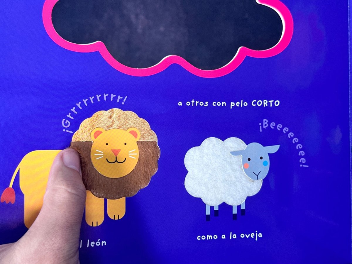 El Arca De Noé: ¡Cuántos Animales! - Colección Toca Y Juega 26×26 - Varios Autores