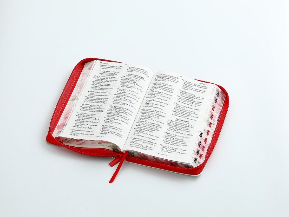 Biblia Reina Valera 1960 · 13,8x21,2 cm · Letra grande 12,5 pt · Con cierre e índice · Colección Pretty rosa