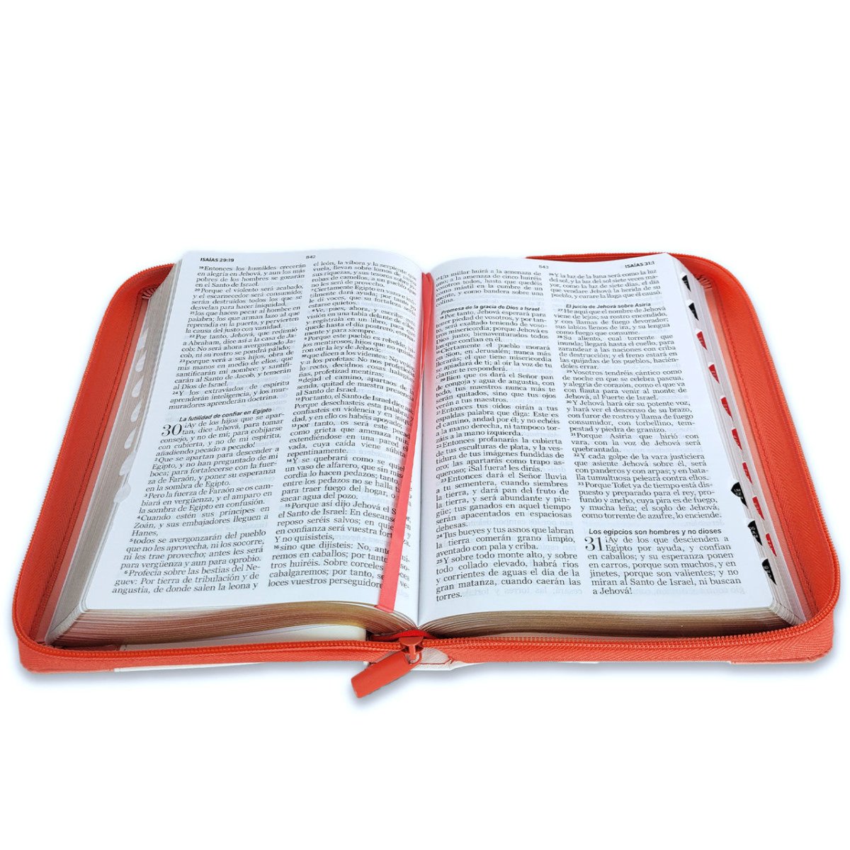 Biblia Reina Valera 1960 · 13,8x21,2 cm · Letra grande 12,5 pt · Con cierre e índice · Colección Inspiración pájaros blanco y coral