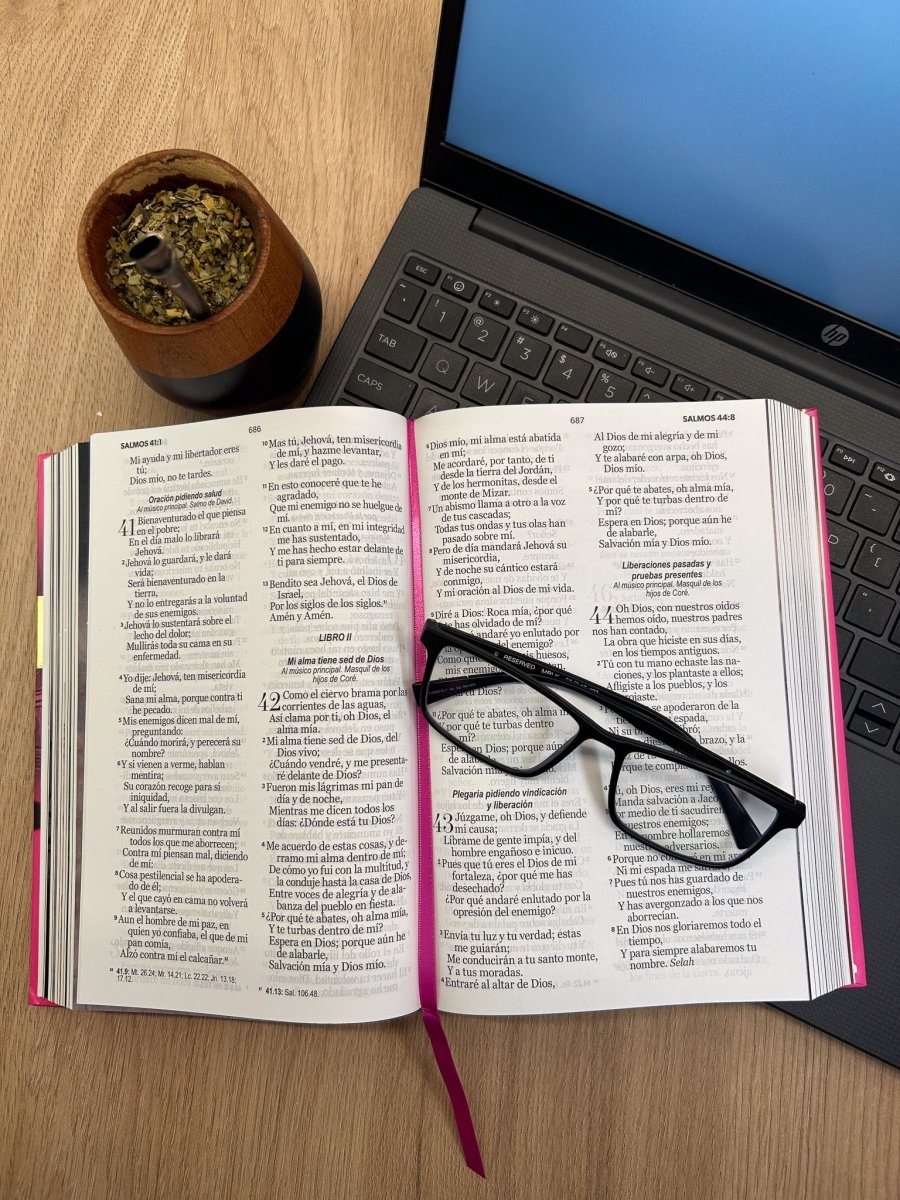BIBLIA RVR60 BIBLIA RVR063C LG 12P 15 X 22 HÉROES TAPA DURA ROSA