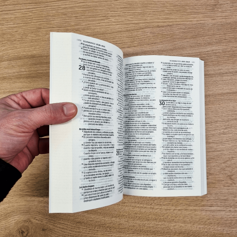 Biblia Dios Habla Hoy con DEUTEROCANÓNICOS  económica – Tapa Cartulina Multicolor, 14 x 21 cm, Letra 9 Puntos