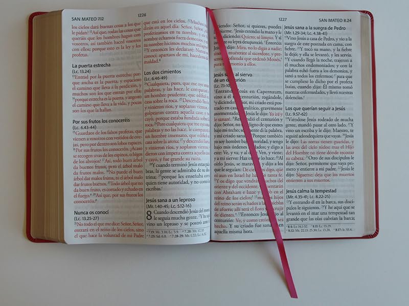 Biblia Reina Valera 1960 · Edición Super · Tapa fucsia