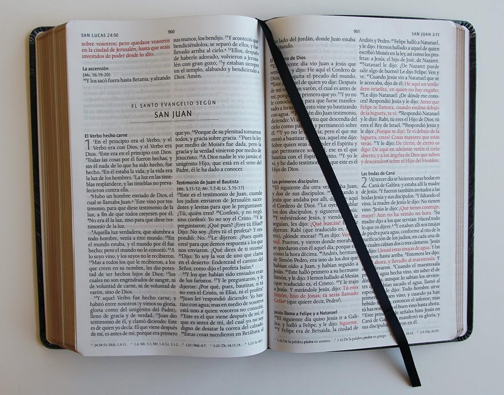 Biblia Reina Valera 1960 · Letra grande