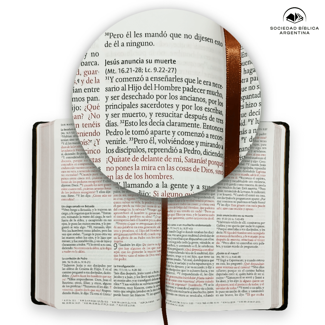 Biblia Reina-Valera 1960 León De Judá, Letra 10,5 Pt, 14×20, Palabras De Jesús En Rojo, Tapa PU, Color Bronce, Con León