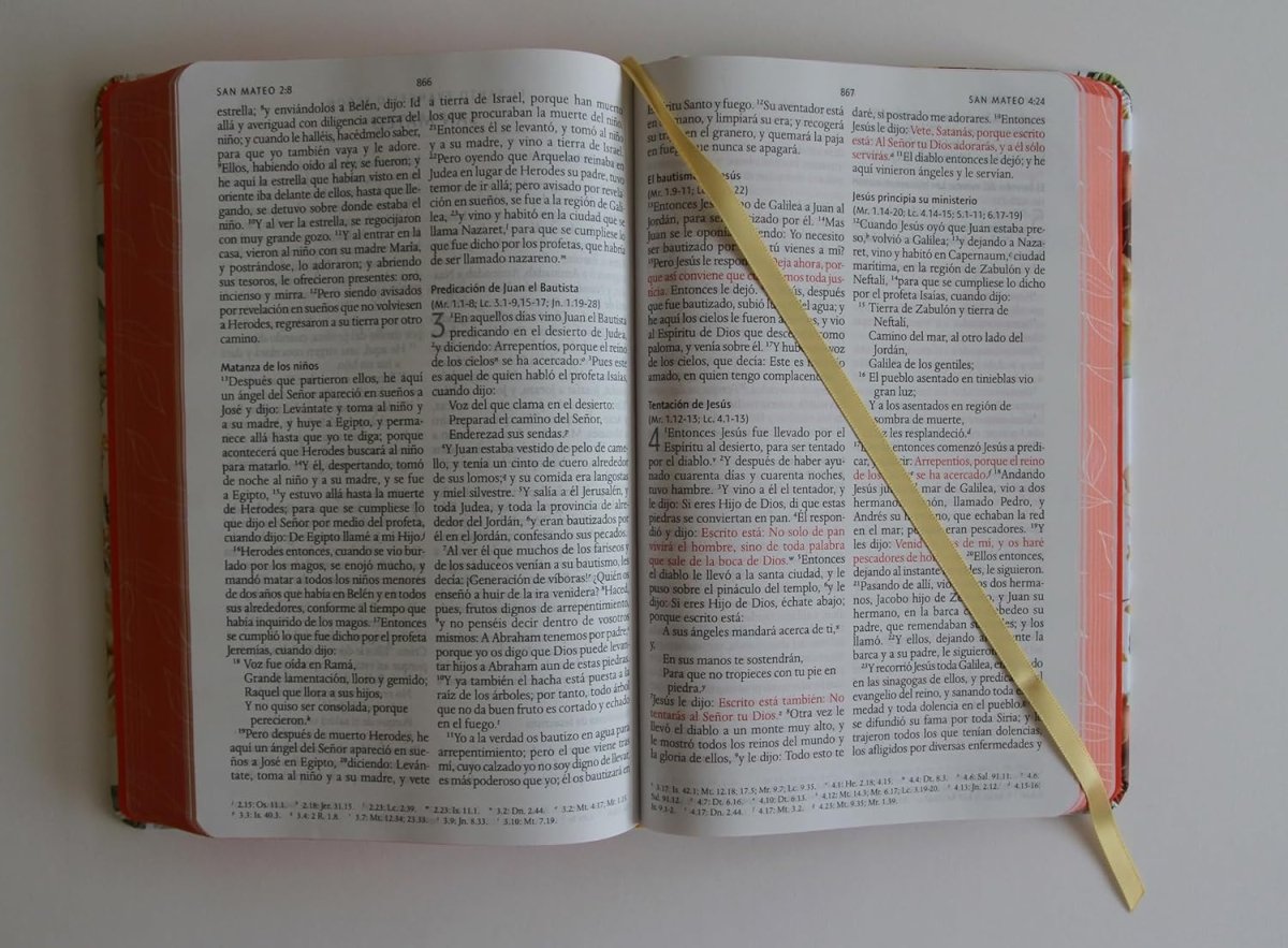 Biblia Reina Valera 1960 · Tapa dura · Diseño con flores rosadas