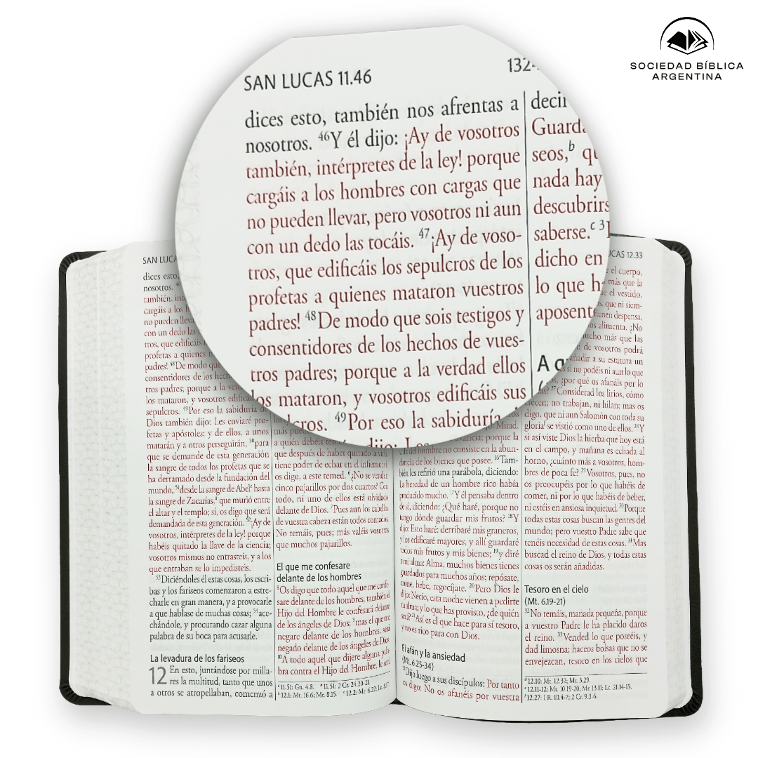 Biblia Reina-Valera 1960, Letra 14 Pt, 14×21, Palabras De Jesús En Rojo, Concordancia, Tapa PU, Gris