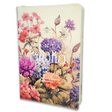 Biblia Reina Valera 1960 088Czti Lsgi 19P 16X23 Cp Jardín Vintage
