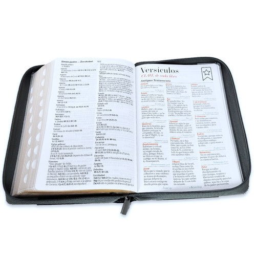 Biblia Reina Valera 1960 · 15,8x23,5 cm · Letra súper gigante 19 pt · Con cierre e índice · Colección Inspiración león negro y gris
