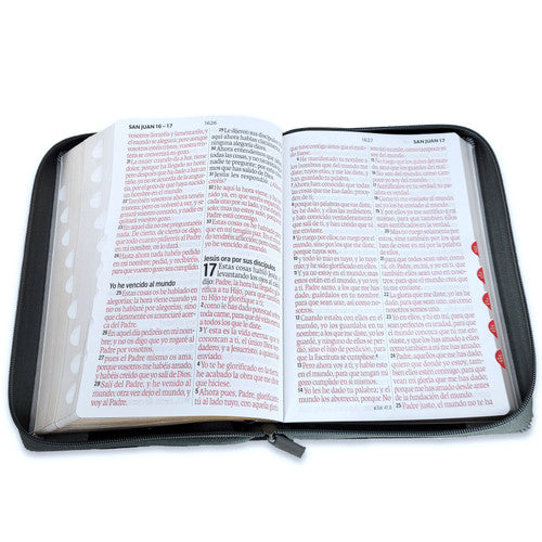 Biblia Reina Valera 1960 · 15,8x23,5 cm · Letra súper gigante 19 pt · Con cierre e índice · Colección Inspiración león negro y gris