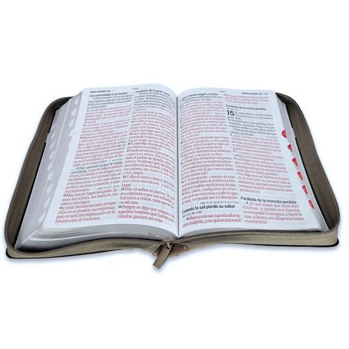 Biblia Reina Valera 1960 088Czti Lsgi 19P 16X23 Tech Dot Negro/Café/Beige