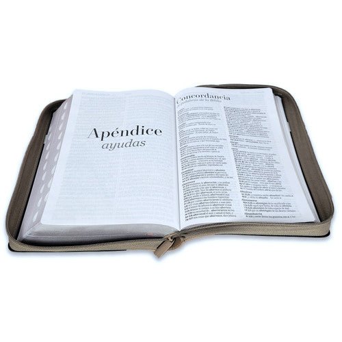 Biblia Reina Valera 1960 088Czti Lsgi 19P 16X23 Tech Dot Negro/Café/Beige