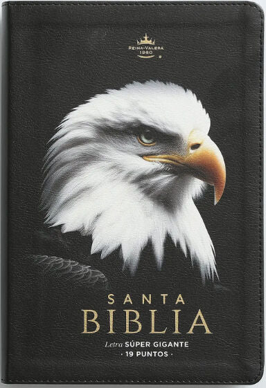 Biblia Reina Valera 1960 088C Lsgi 19P 16X23 Cp Pjr Nuevas Fuerzas