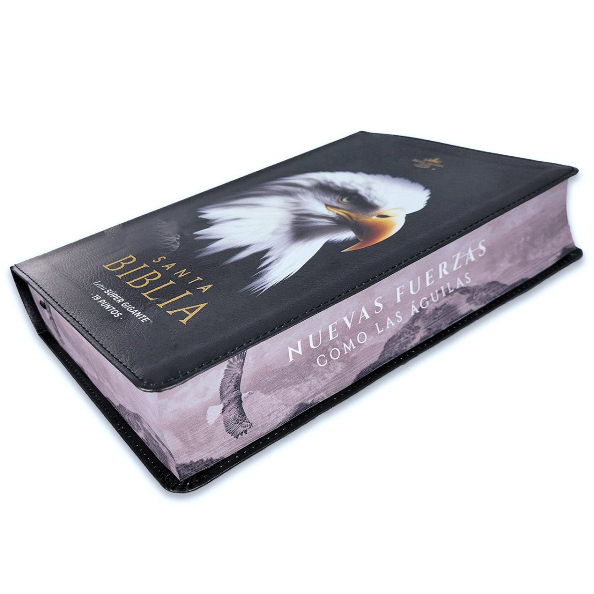Biblia Reina Valera 1960 088C Lsgi 19P 16X23 Cp Pjr Nuevas Fuerzas