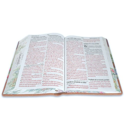 Biblia Reina Valera 1960 088C Lsgi 19P 16X23 Cp Pjr Yo Mi Casa
