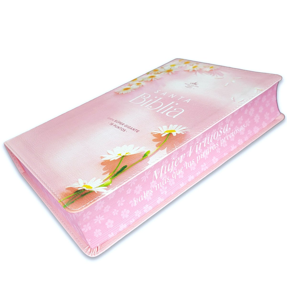 Biblia Reina Valera 1960 088C Lsgi 19P 16X23 Cp Pjr Mujer Virtuosa