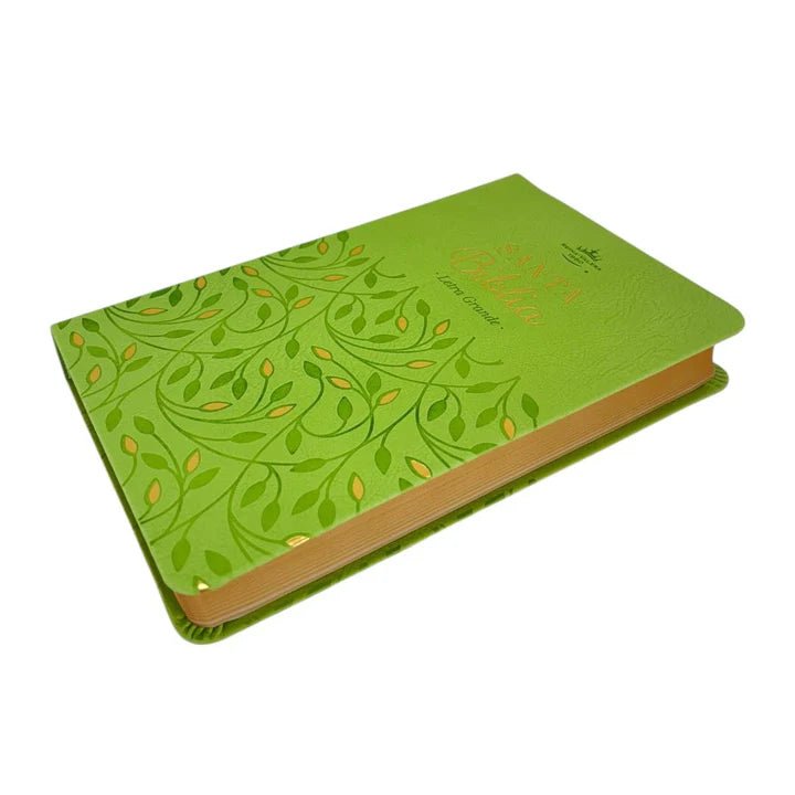 Biblia Reina-Valera 1960 062 Concordancia, Palabras De Jesús En Rojo, Letra 11 Pt, 13,8×21, Verde Olivo