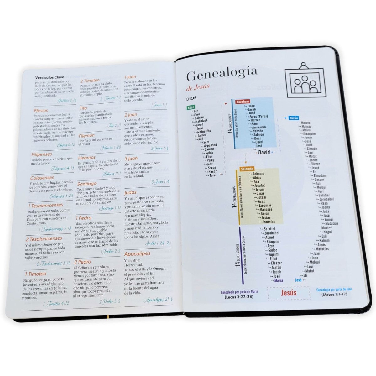 Biblia Reina-Valera 1960 062 Concordancia, Palabras De Jesús En Rojo, Letra 11 Pt, 13,8×21, Negro, Geométrico
