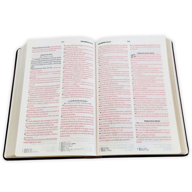 Biblia Reina-Valera 1960 062 Concordancia, Palabras De Jesús En Rojo, Letra 11 Pt, 13,8×21, Marrón Elegante