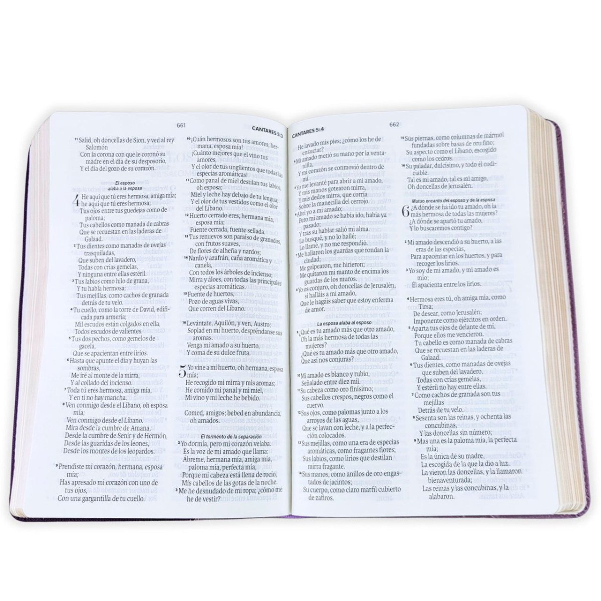 Biblia Reina Valera 1960 Vintage – Con Concordancia – Letra 11 pts – 14x21 cm – Tapa PU – Lila