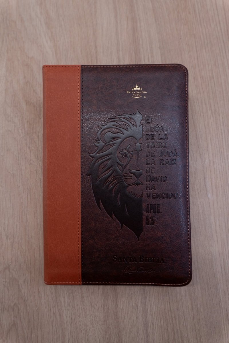 Biblia Reina Valera 1960 – 068 – Con Concordancia – Letra 14 pts – 14x21 cm – Cierre – Marrón/Naranja – León de Judá