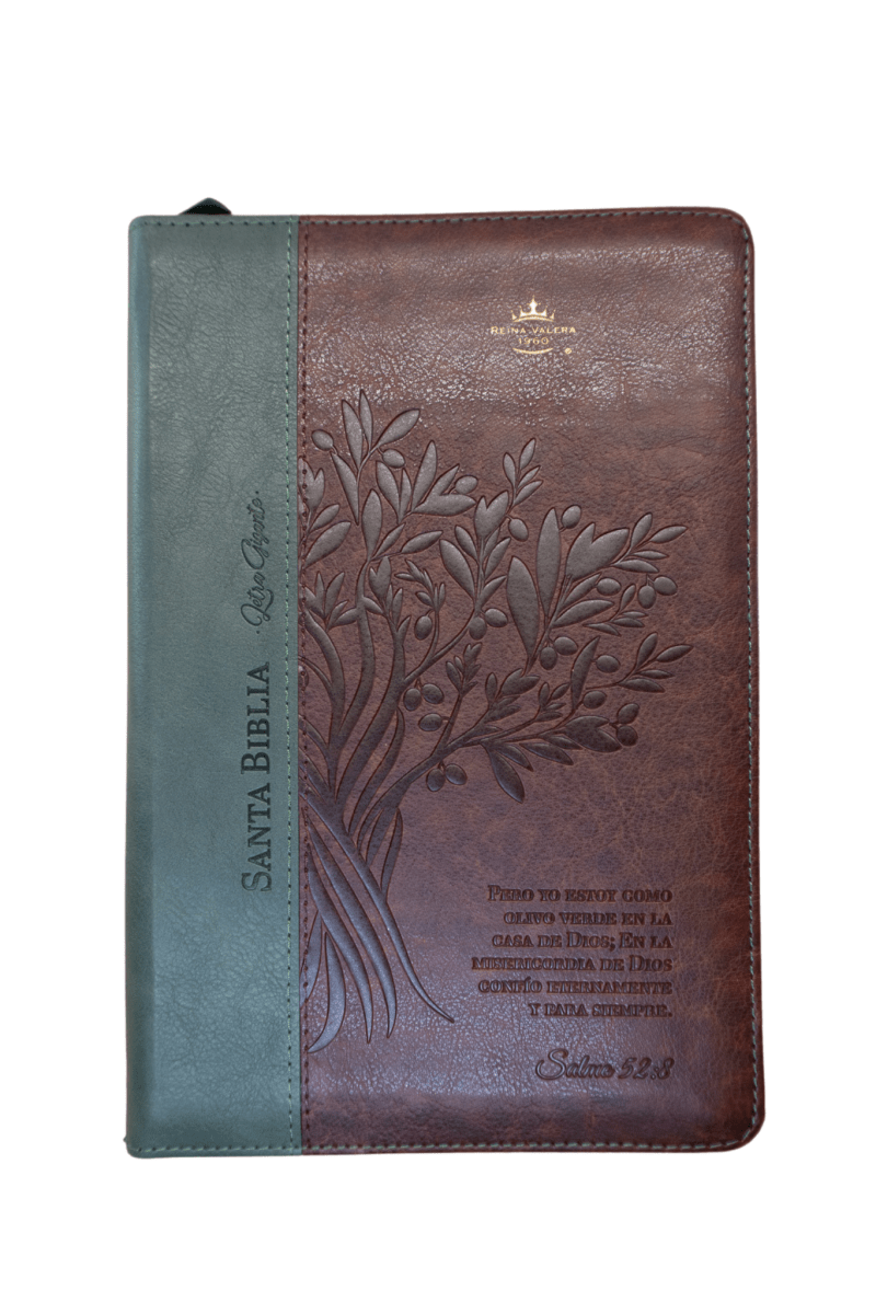 Biblia Reina Valera 1960 – 068 – Con Concordancia – Letra 14 pts – 14x21 cm – Cierre – Café/Verde Olivo