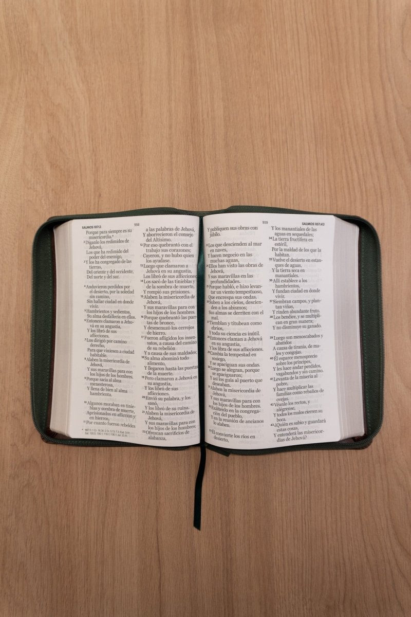 Biblia Reina Valera 1960 – 068 – Con Concordancia – Letra 14 pts – 14x21 cm – Cierre – Café/Verde Olivo