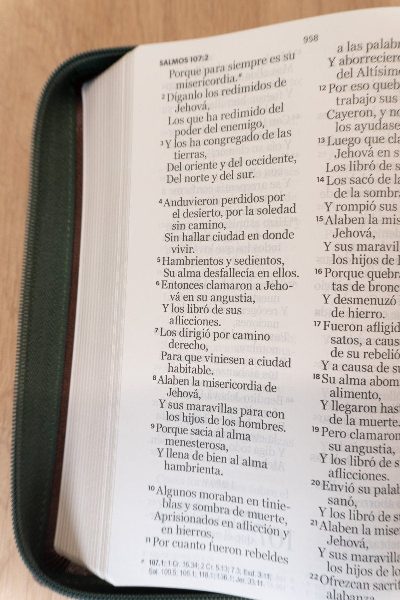 Biblia Reina Valera 1960 – 068 – Con Concordancia – Letra 14 pts – 14x21 cm – Cierre – Café/Verde Olivo