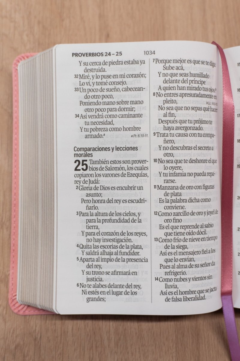 Biblia Reina Valera 1960 – 035 – Con Concordancia – Letra 12 pts – 11x16 cm – Rosa/Fucsia