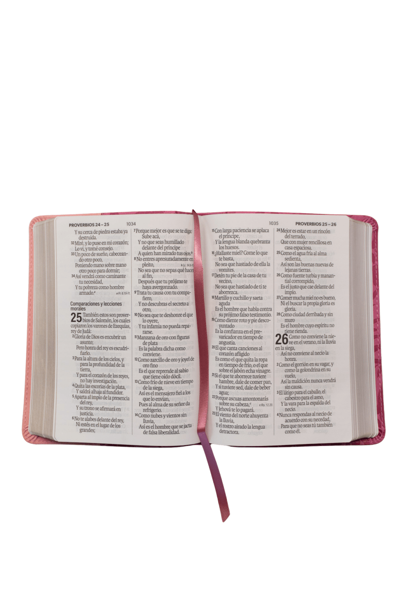 Biblia Reina Valera 1960 – 035 – Con Concordancia – Letra 12 pts – 11x16 cm – Rosa/Fucsia