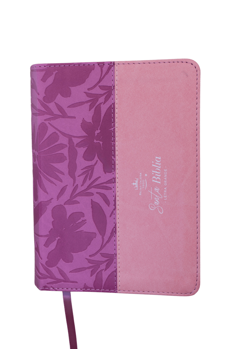 Biblia Reina Valera 1960 – 035 – Con Concordancia – Letra 12 pts – 11x16 cm – Rosa/Fucsia