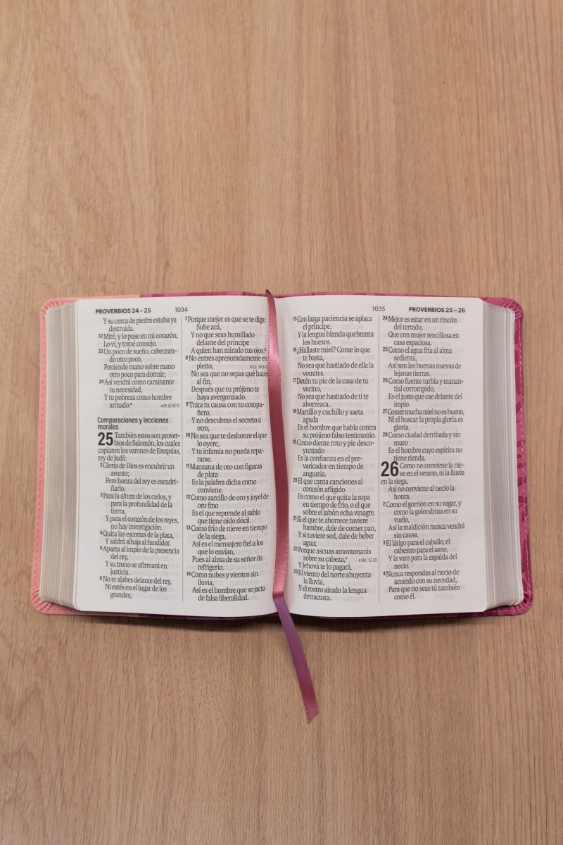 Biblia Reina Valera 1960 – 035 – Con Concordancia – Letra 12 pts – 11x16 cm – Rosa/Fucsia