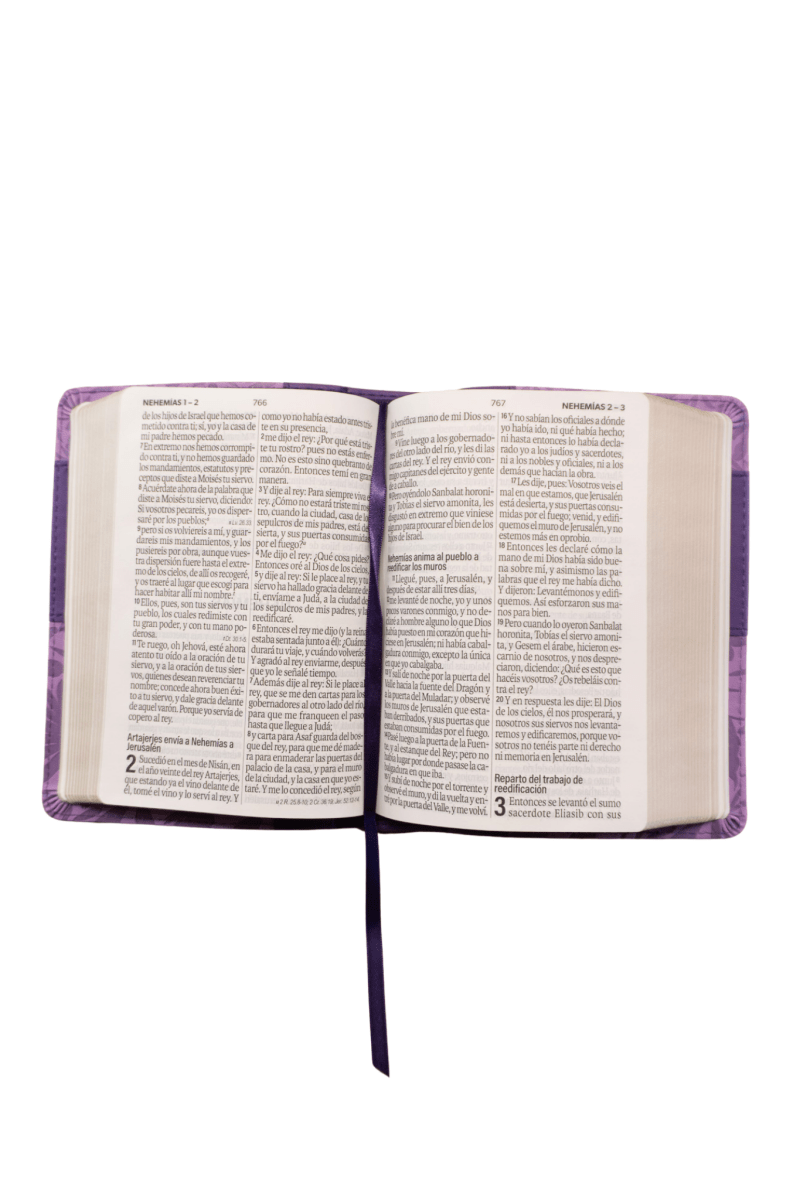 Biblia Reina Valera 1960 – 035 – Con Concordancia – Letra 12 pts – 11x16 cm – Lila