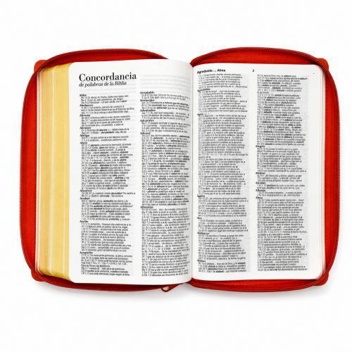 Biblia Reina Valera 1960 – Con Concordancia – Letra 11 pts – 16x23 cm – Palabras de Jesús en Rojo – Cierre – Coral Delicado